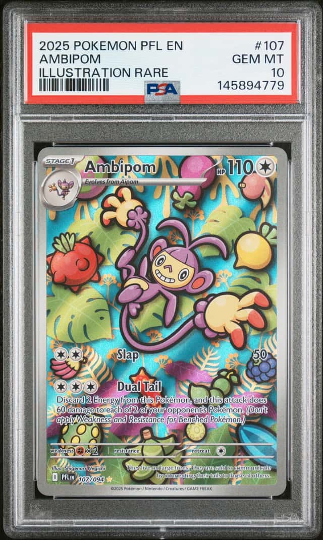 Ambipom