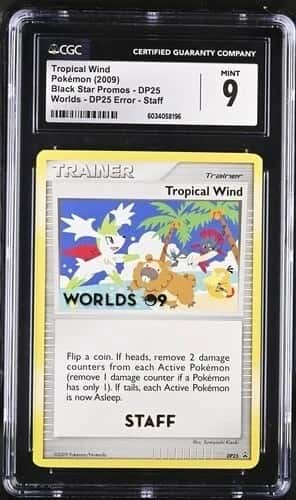 Tropical Wind