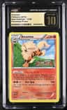 Arcanine