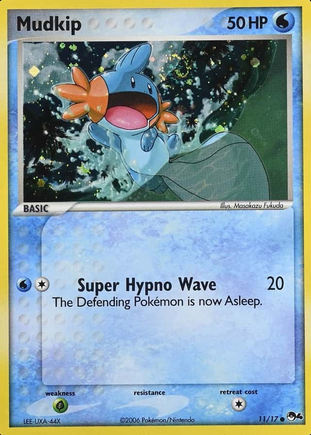 Holo