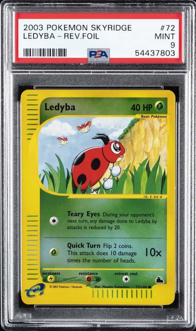 Ledyba