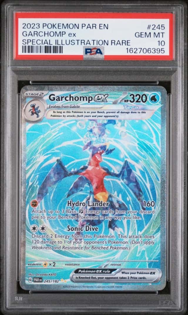 GARCHOMP ex