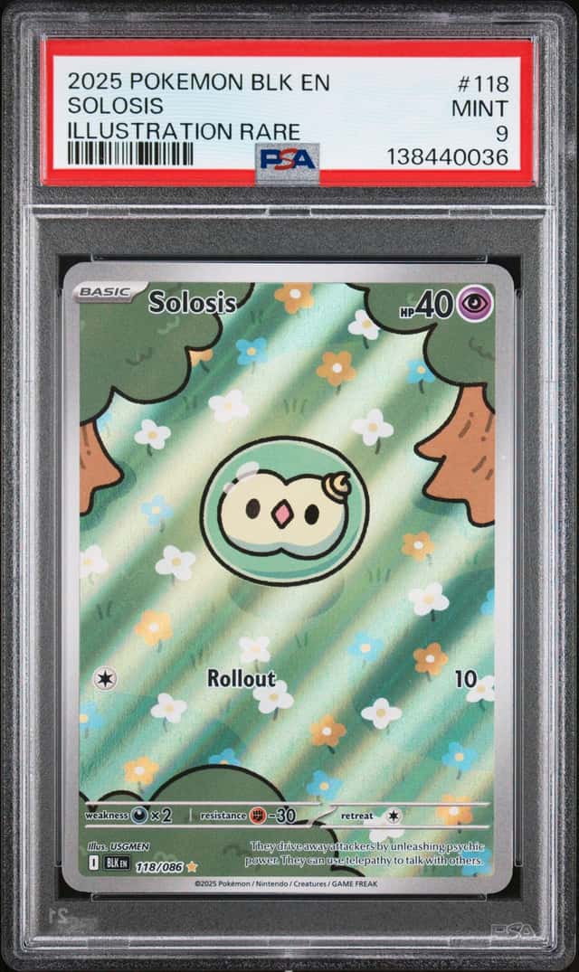 Solosis