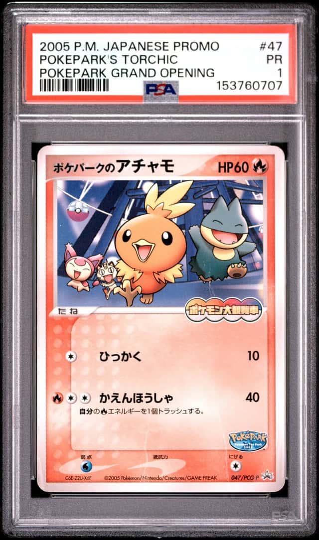 Pokepark's Torchic