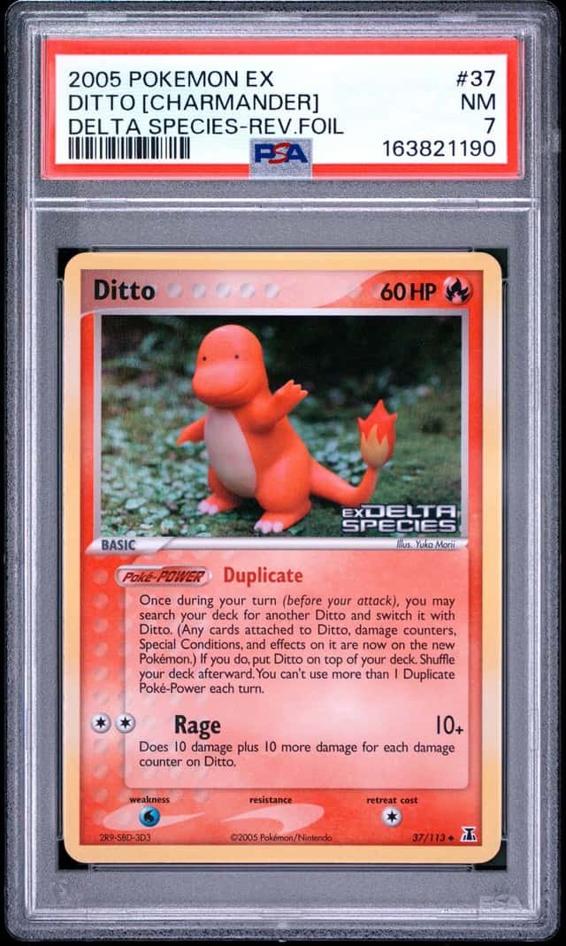 Ditto [Charmander]