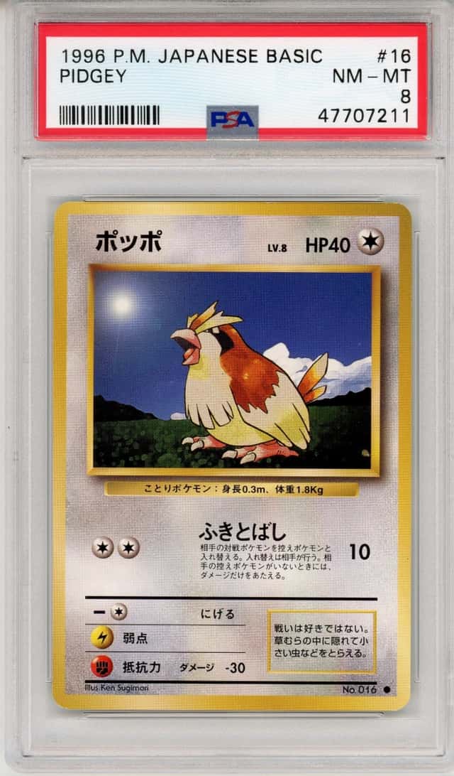 Pidgey