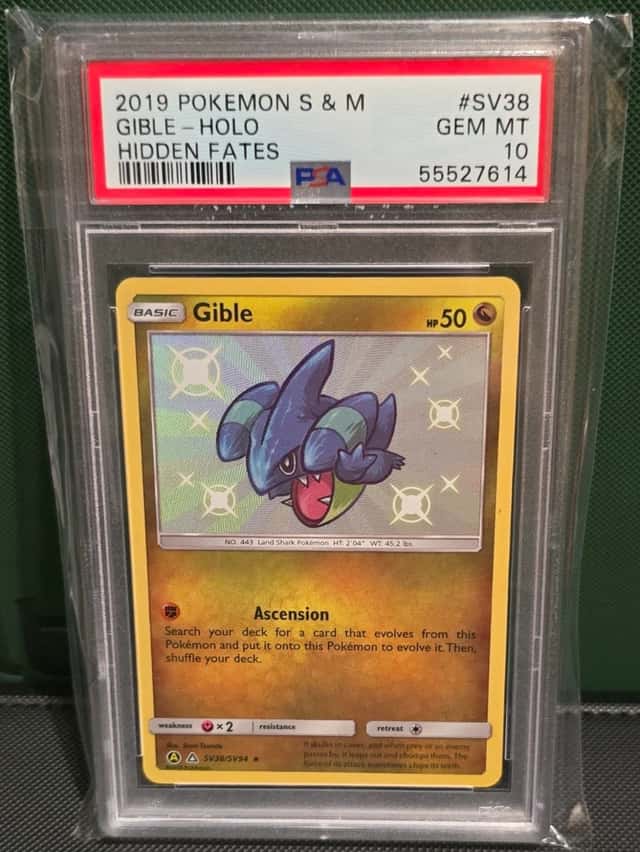 Gible