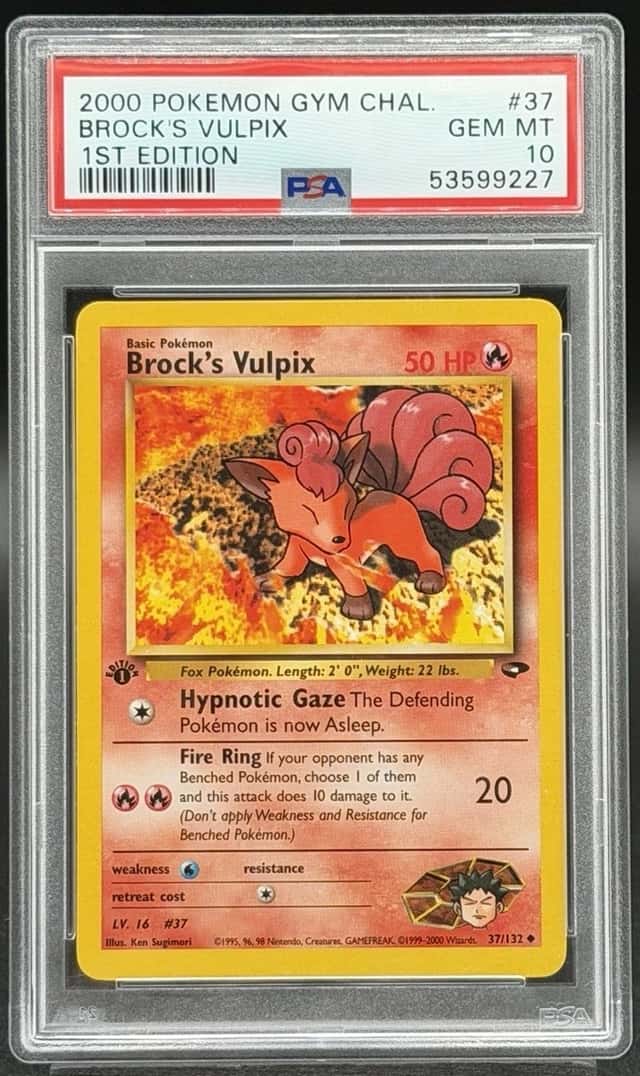 Brock's Vulpix