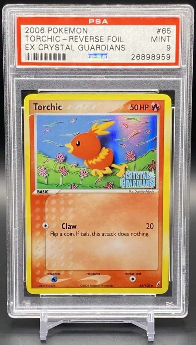 Torchic
