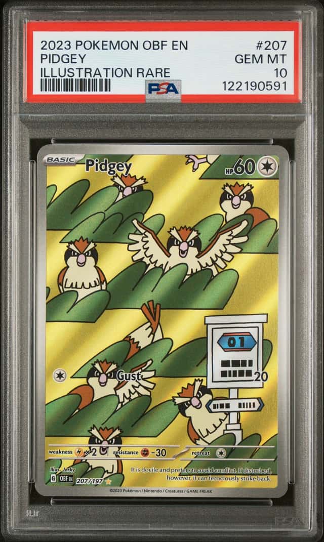 Pidgey