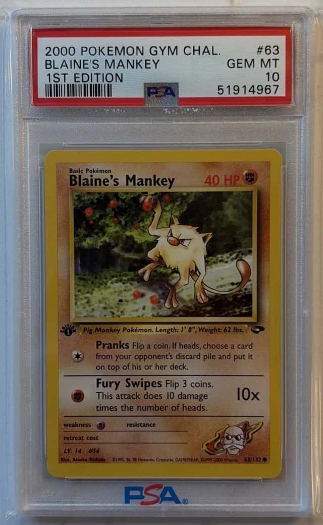 Blaine's Mankey