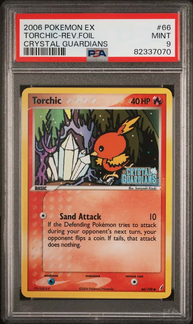 Torchic