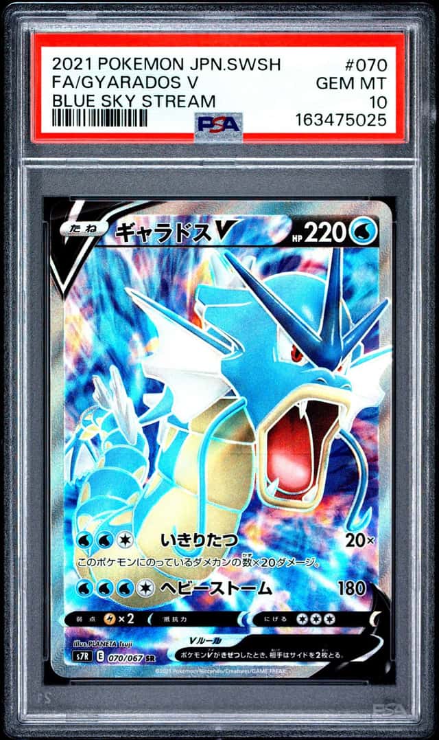 Gyarados V