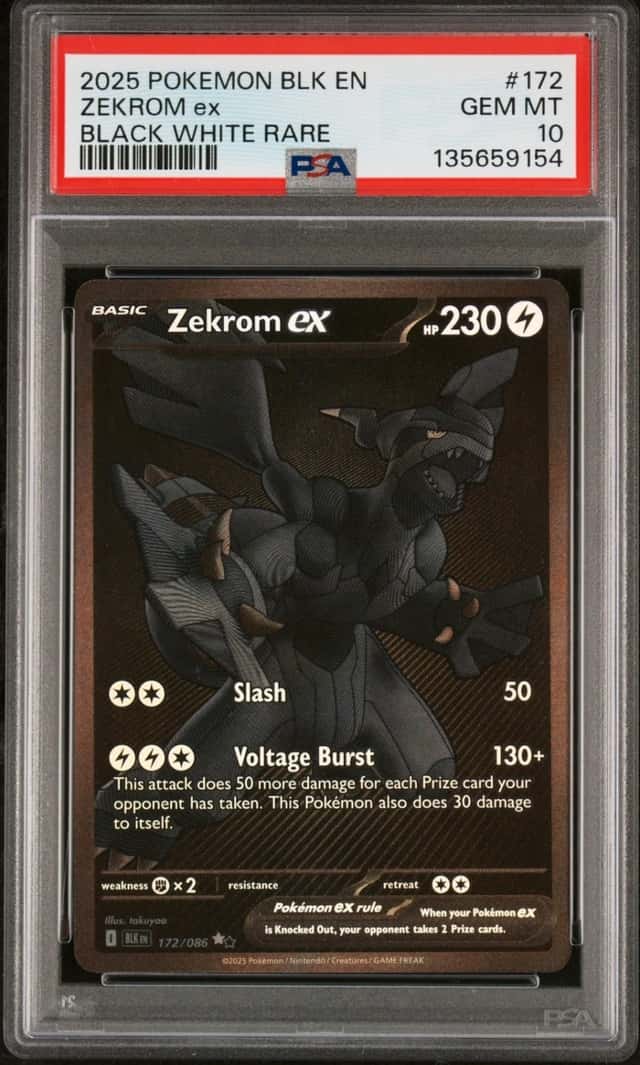 ZEKROM ex