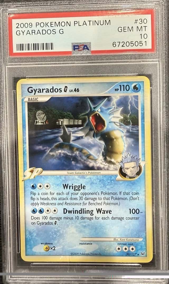 Gyarados G