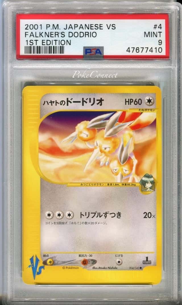 Falkner's Dodrio