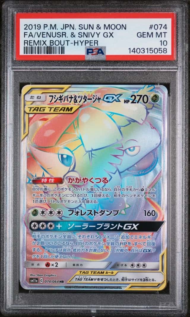 Venusaur & Snivy GX