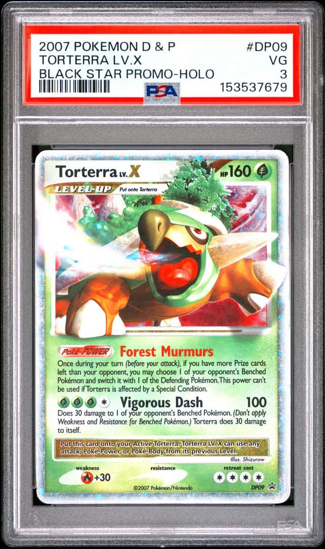 TORTERRA LV.X