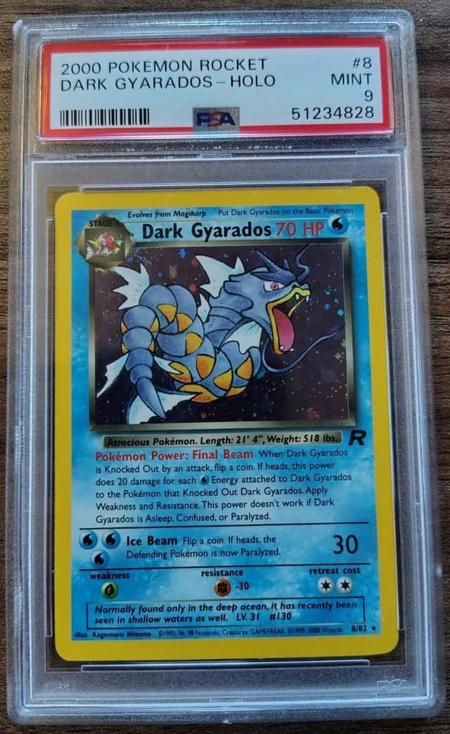 Dark Gyarados