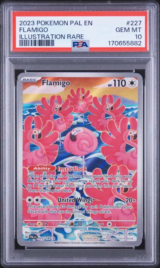 Flamigo