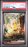 Pikachu Ex