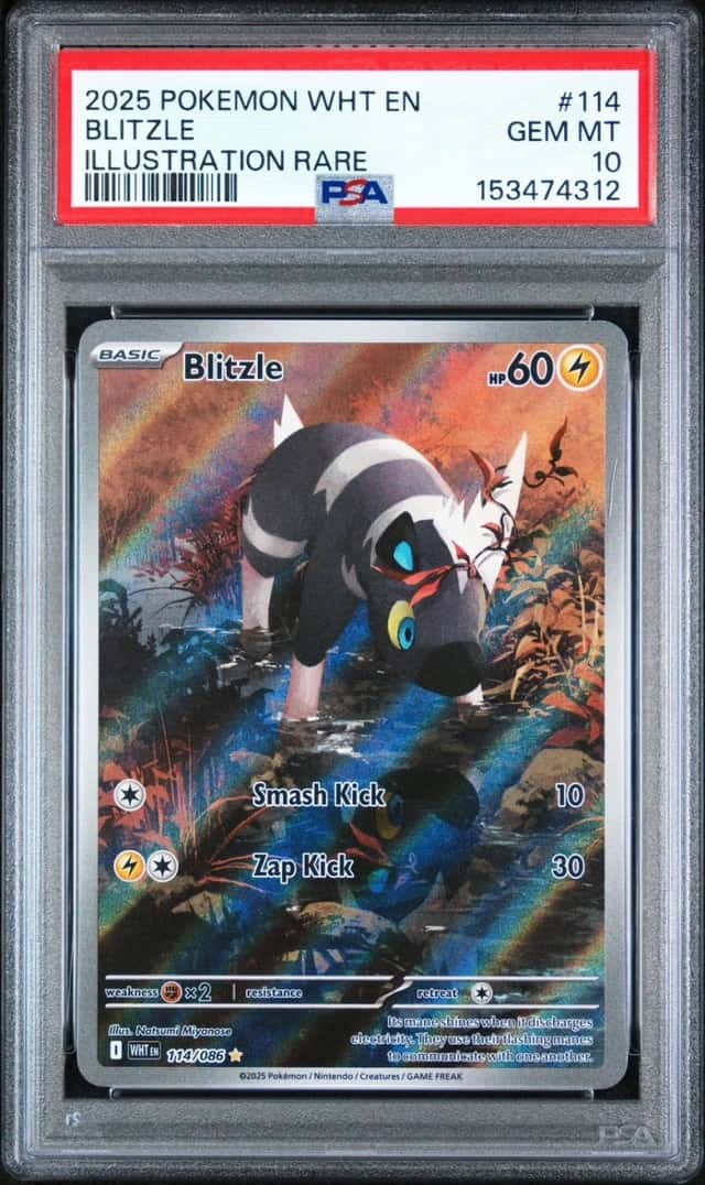 Blitzle