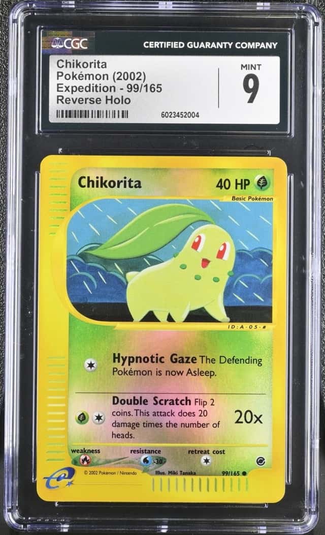 Chikorita