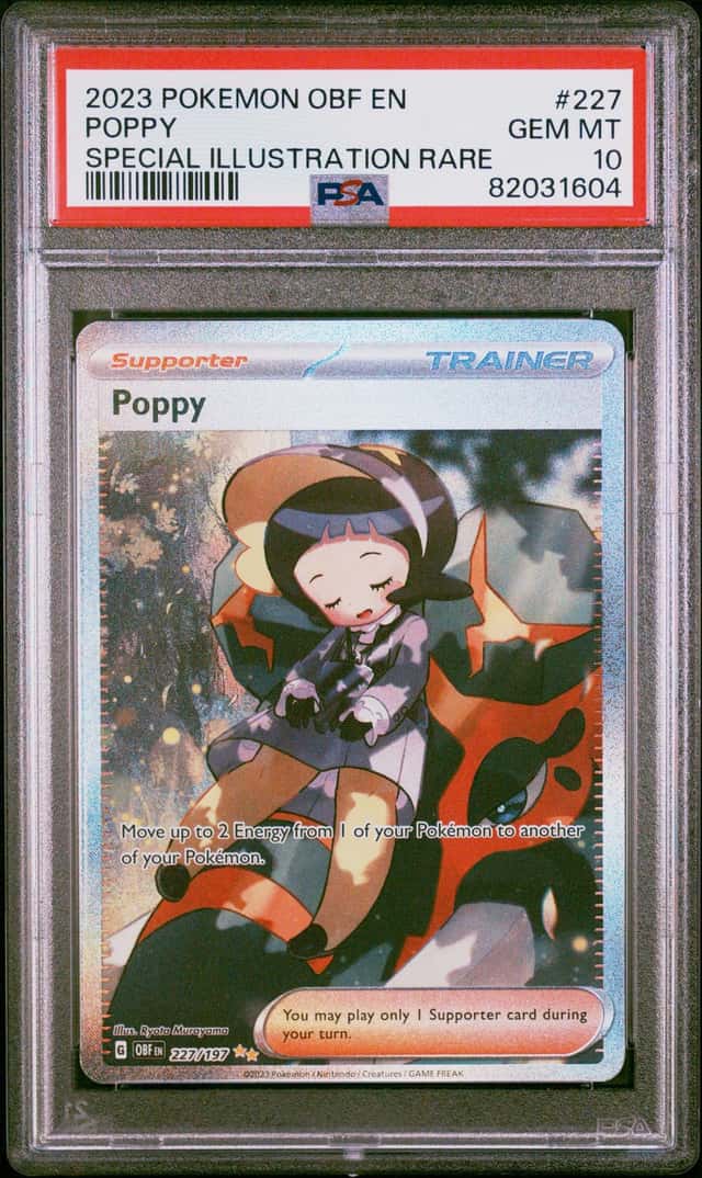 Poppy
