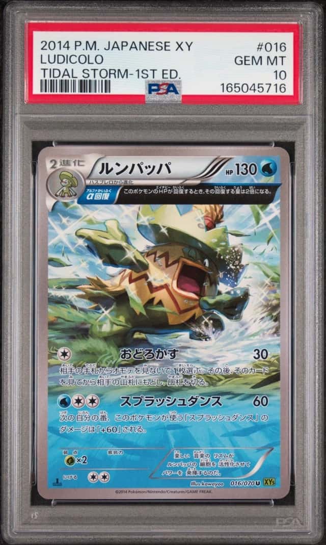 Ludicolo