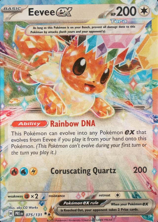 Holo