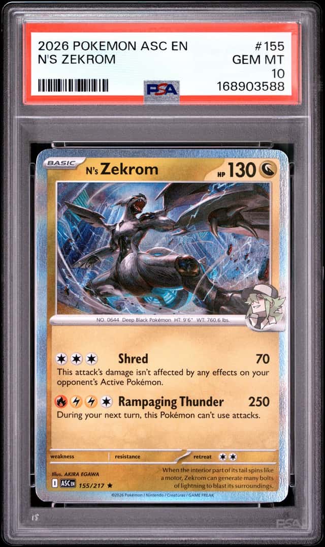 N's Zekrom