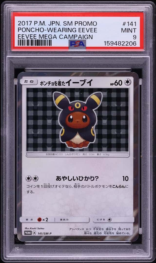 Poncho-Wearing Eevee