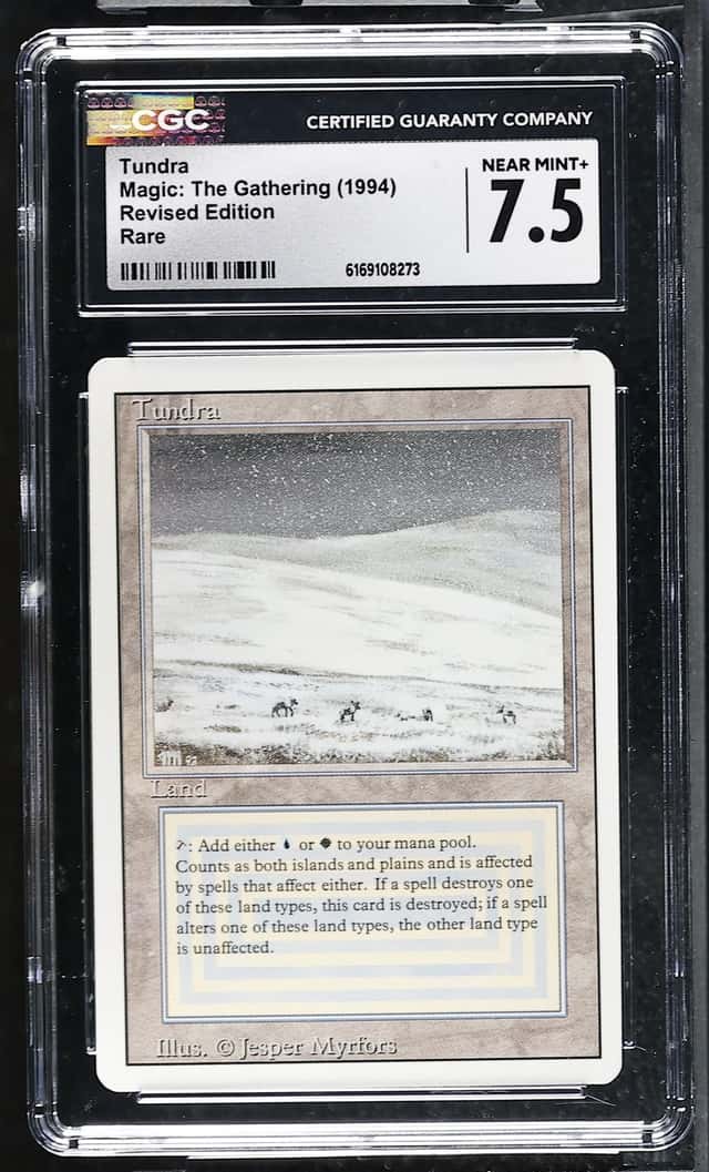 Tundra