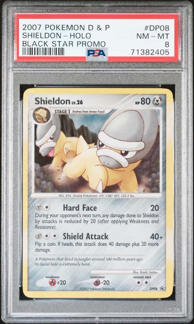 Shieldon