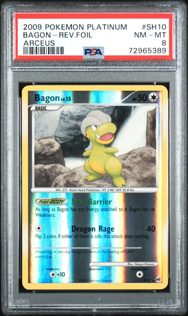 Bagon
