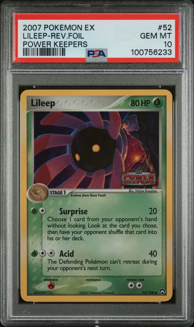 Lileep