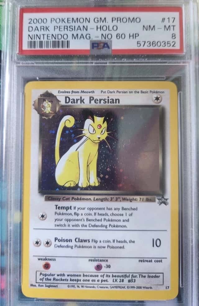 Dark Persian