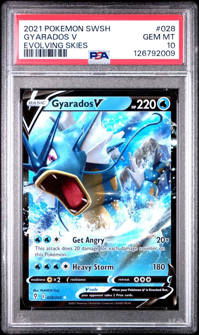 Gyarados V