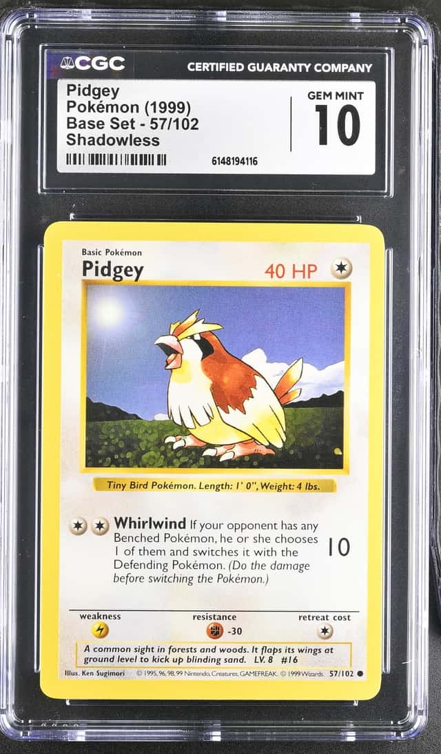 Pidgey