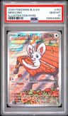 Minccino