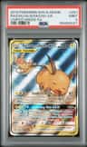 Raichu & Alolan Raichu Gx