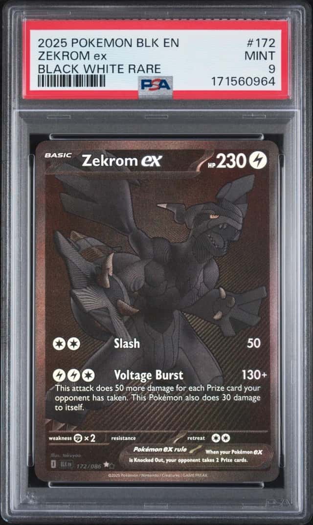 ZEKROM ex