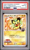 Spiky-Eared Pichu