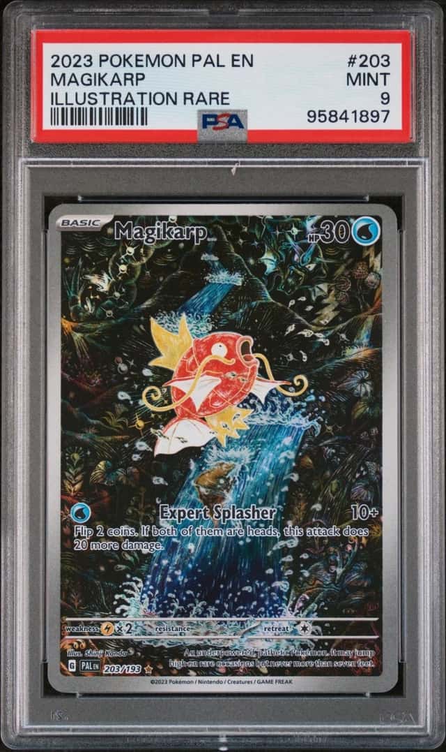 Magikarp