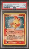 Torchic