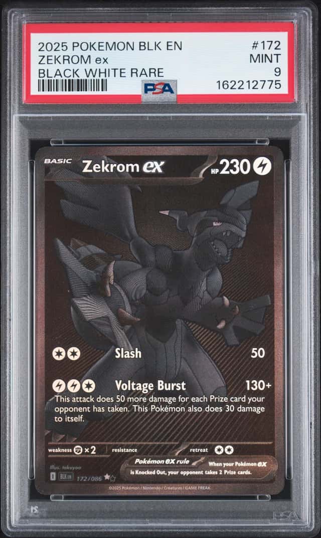 ZEKROM ex