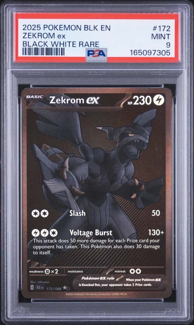 ZEKROM ex