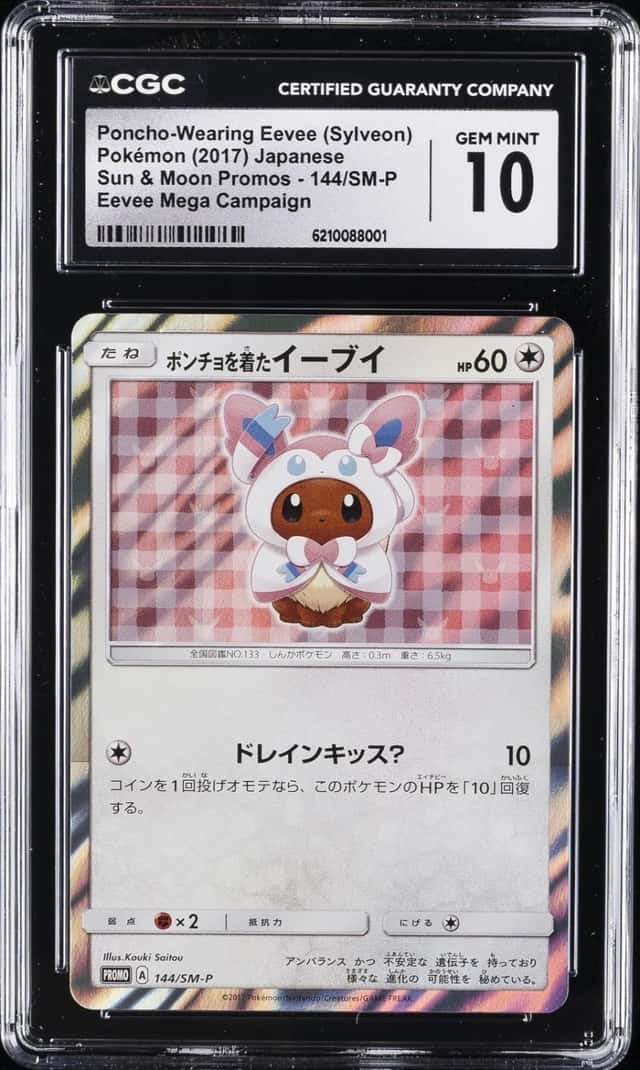 Poncho-Wearing Eevee