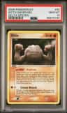 Ditto [geodude]