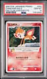 Chimchar